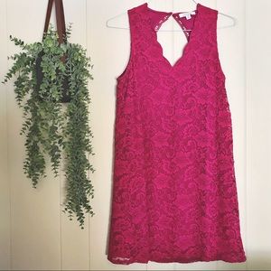 Francesca’s Fuchsia Lace Dress